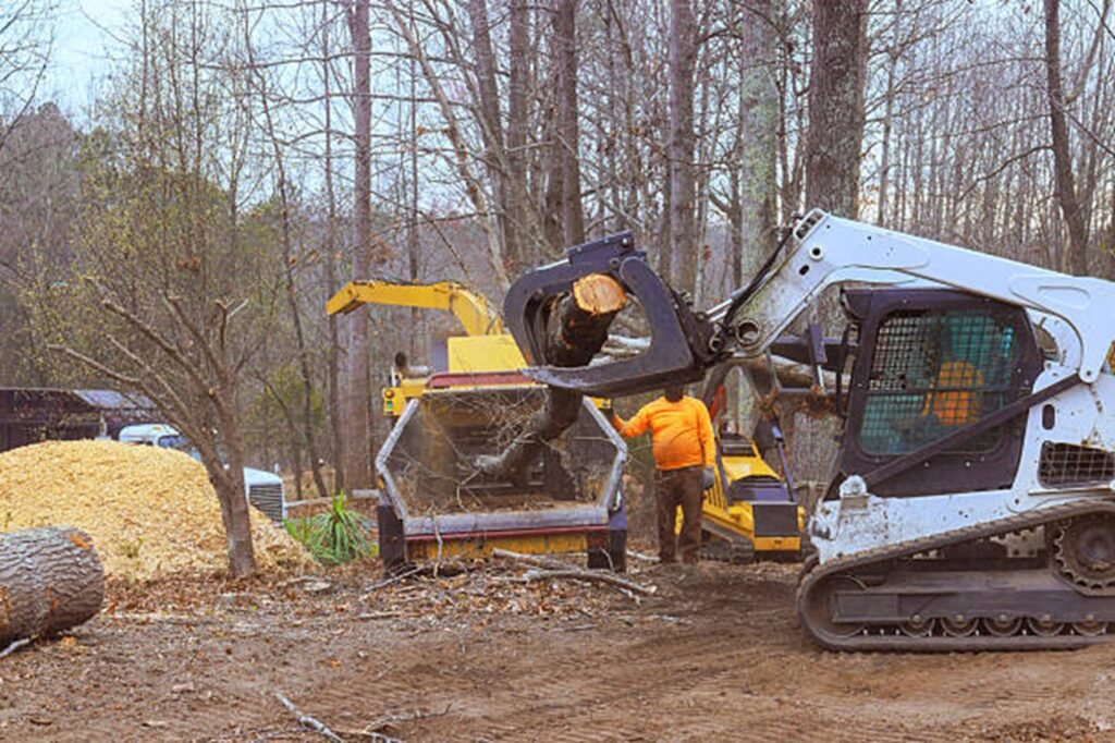 Residential property after professional tree removal with logs processed and the hazardous tree safely removed in Arnold, MO.