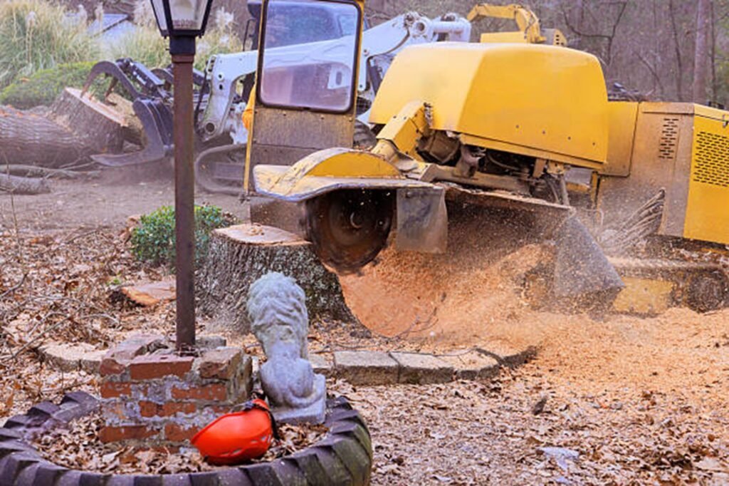 Professional stump grinding machine removing a large tree stump while clearing wood chips during a residential stump grinding project in Arnold, MO.