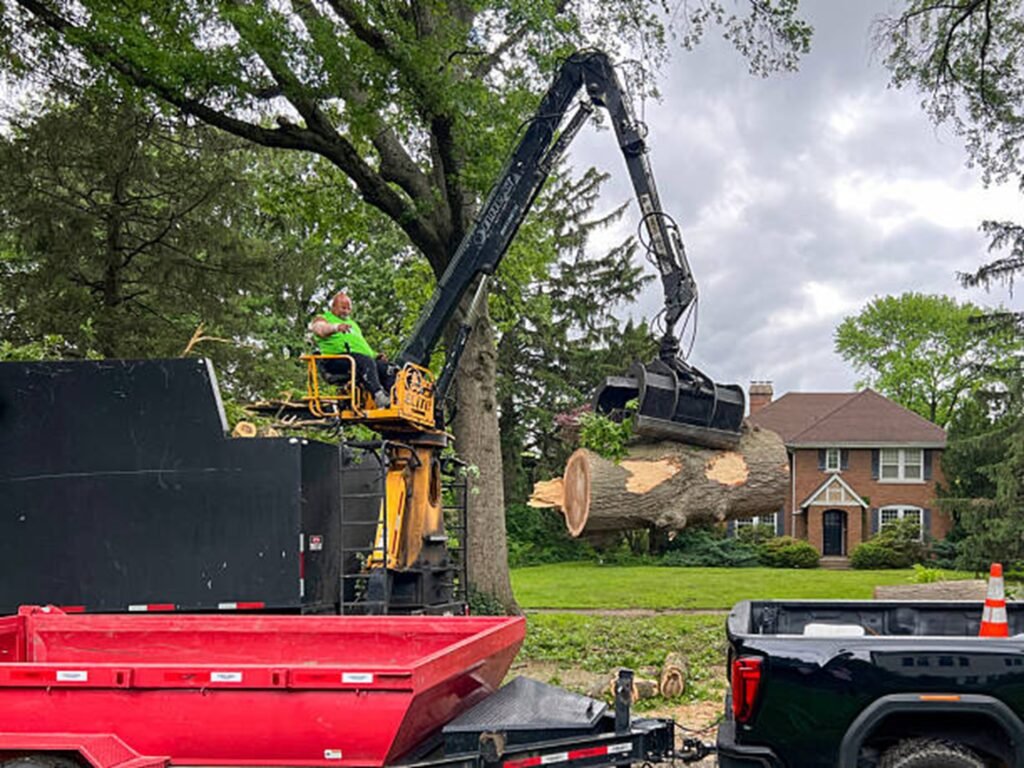 Professional tree removal crew using heavy equipment to safely lift and remove large tree sections during a residential tree removal project in Arnold, MO.
