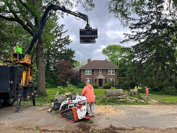 Professional tree care crew using heavy equipment to remove trimmed tree sections during a tree trimming and pruning project in Fenton, MO.