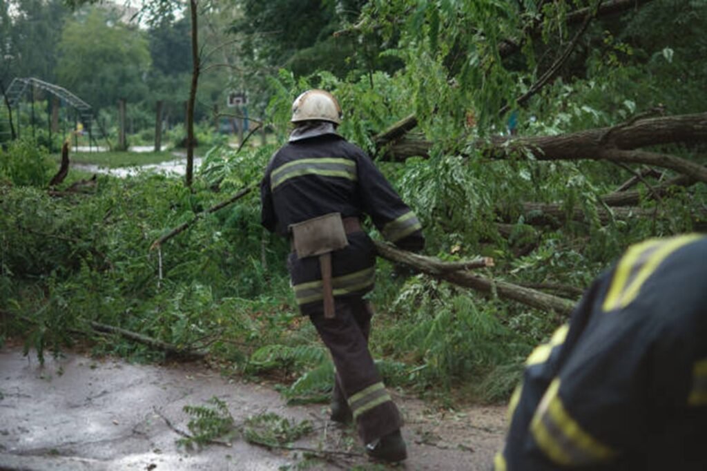 Professional crew clearing fallen trees and storm debris from a residential roadway during storm damage cleanup in Arnold, MO.