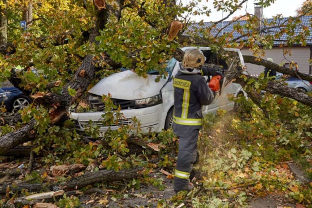 Emergency tree service crew removing a large fallen tree from a damaged vehicle after severe storm damage in Arnold, MO.
