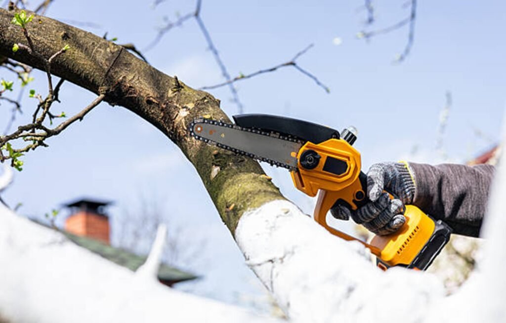 Professional arborist pruning a tree branch with a handheld chainsaw during residential tree trimming service in Arnold, MO.