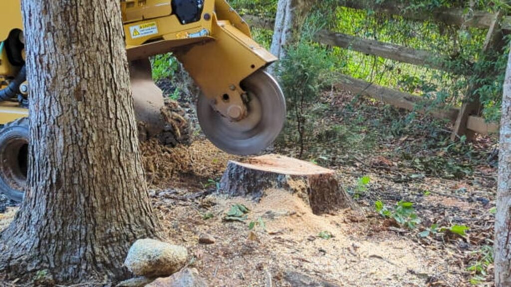 Commercial stump grinder removing a tree stump below ground level during professional stump grinding and removal service in Arnold, MO.