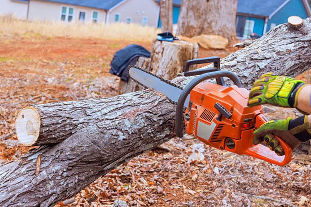 Professional chainsaw cutting through a fallen tree during emergency tree removal service at a residential property in Arnold, MO.