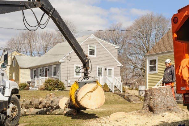 Professional emergency tree service crew cutting and removing a large fallen tree blocking a residential street in Arnold, MO.
