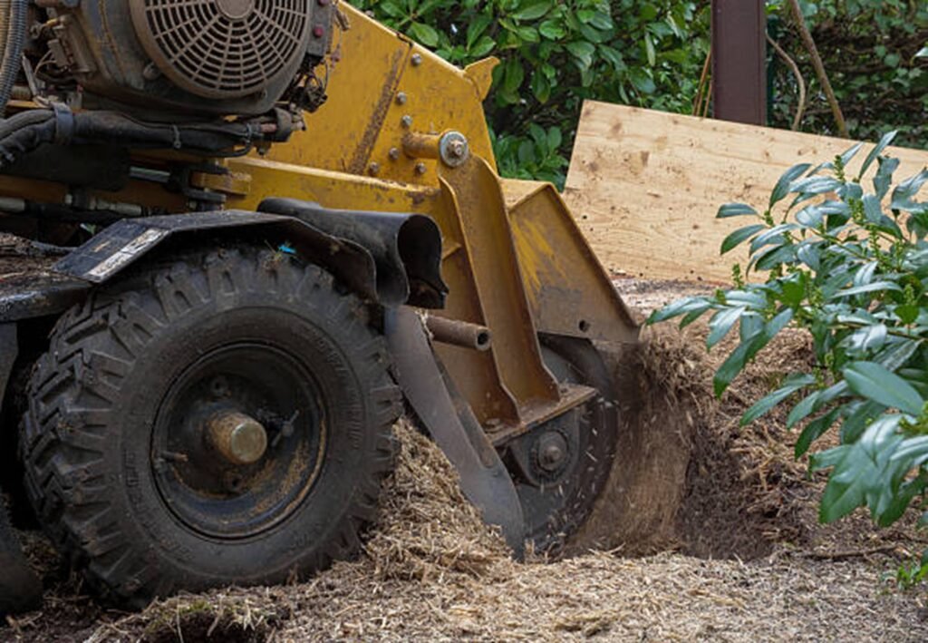 Professional stump grinding machine removing a tree stump from a residential yard during stump grinding and removal service in Arnold, MO.