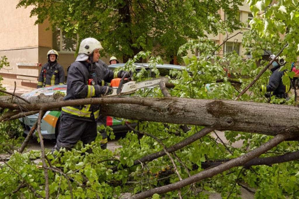 Emergency tree service crew safely cutting and removing a fallen tree blocking a residential street in Arnold, MO after severe storm damage.