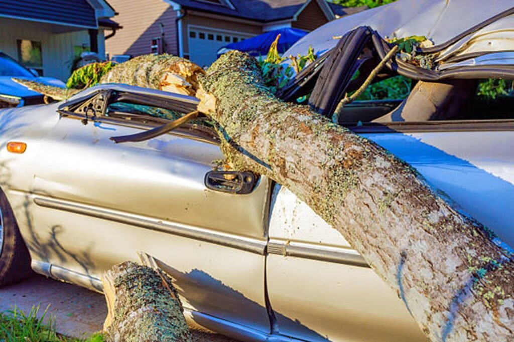 Large fallen tree crushing a parked vehicle after a severe storm, highlighting the need for professional storm damage cleanup in Arnold, MO.