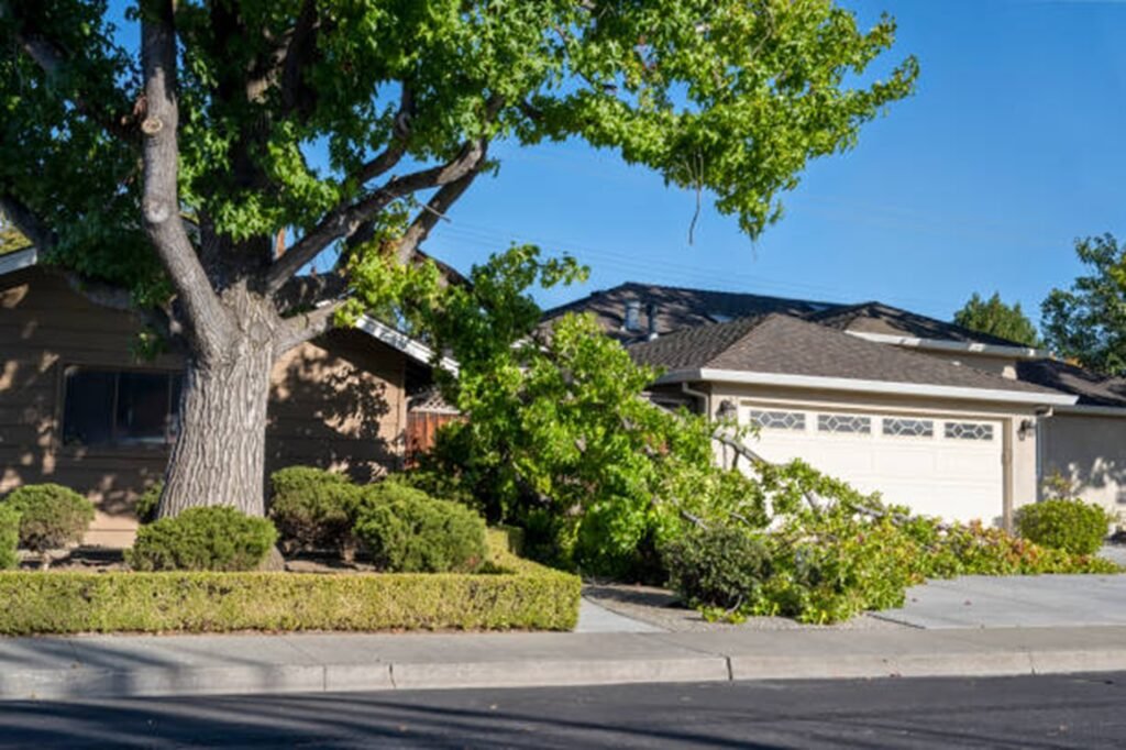 Storm-damaged tree with broken limbs blocking a residential driveway before professional storm damage cleanup in Arnold, MO.
